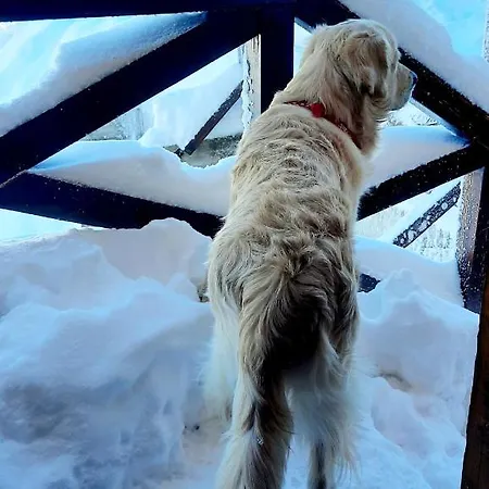 Polar Apartment *